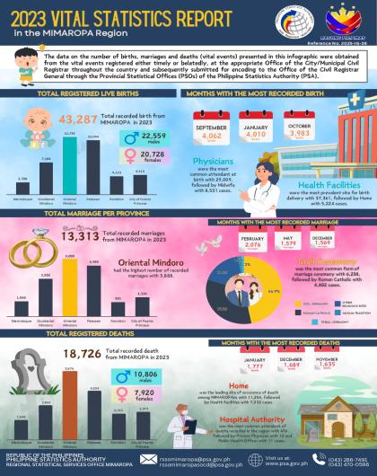 2023 Vital Statistics Report in MIMAROPA Region