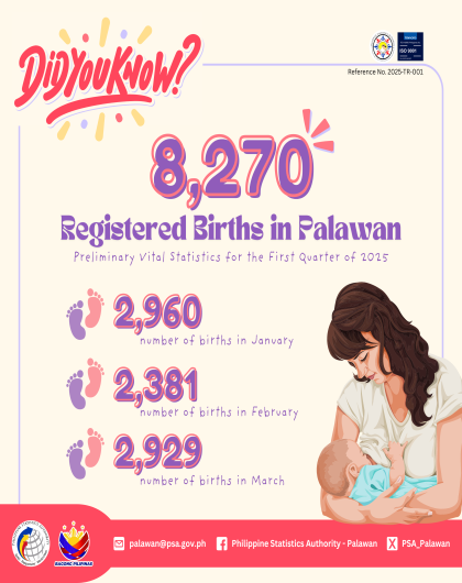 Preliminary Vital Statistics on Registered Births in Palawan for the First Quarter of 2025