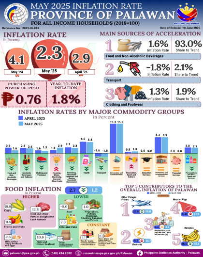 May 2025 Inflation Rate for all Income Households in the Province of Palawan (2018=100)
