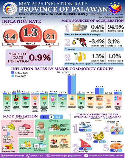 May 2025 Inflation Rate for Bottom 30% Income Households in the Provice of Palawan (2018=100)