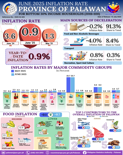 June 2025 Inflation Rate for Bottom 30% Income Households in the Provice of Palawan (2018=100)