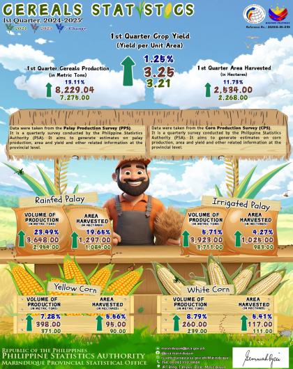 Cereals Statistics of Marinduque 1st Quarter 2024 and 2025