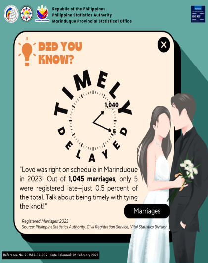 Registered Marriages in Marinduque By Registration Status: 2023