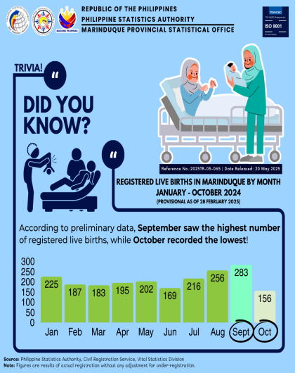 Registered Live Births in Marinduque by Month: January - October 2024 (P as of 28 February 2025)