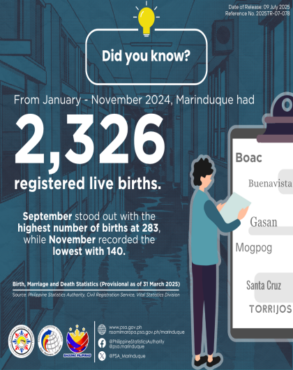 Registered Live Births in Marinduque: January to November 2024 (P as of 31 March 2025) 