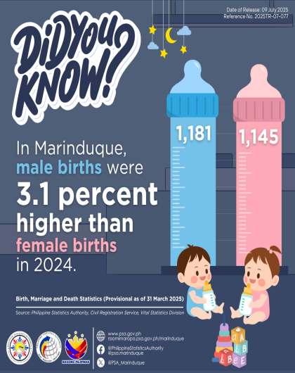 Registered Live Births By Sex in Marinduque: January to November 2024 (P as of 31 March 2025) 