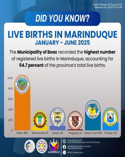 Live Birth Statistics in Marinduque: January to June 2025