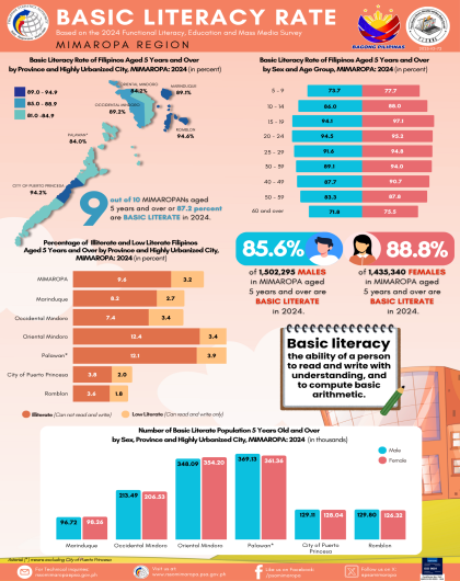 Basic Literacy Rate MIMAROPA Region (2024 FLEMMS)