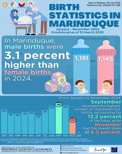 Birth Statistics in Marinduque: January - November 2024 (P as of 31 March 2025)