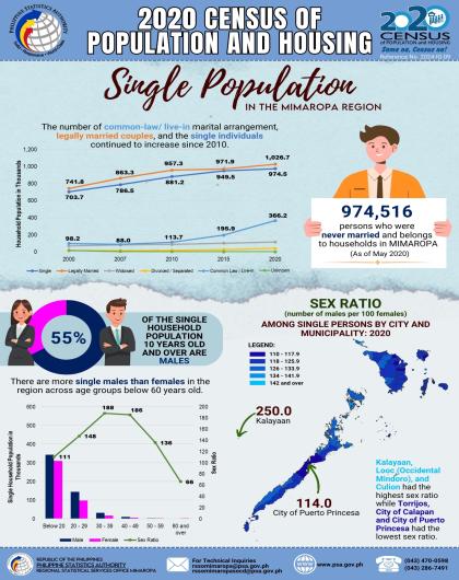 Single Population in the MIMAROPA Region (2020 CPH)
