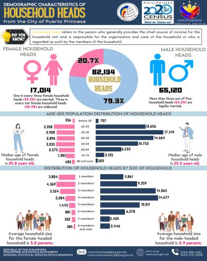Demographic Characteristics of Household Heads from the City of Puerto Princesa