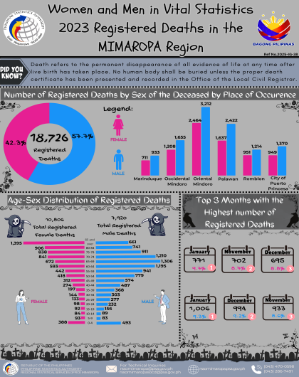 2023 Registered Deaths in MIMAROPA Region
