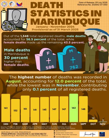 Death Statistics in Marinduque: January - November 2024 (P as of 31 March 2025)