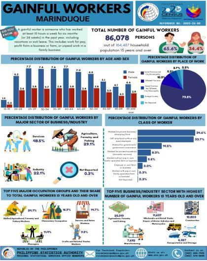 Gainful Workers in Marinduque : 2020