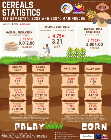 Cereal Statistics, 1st Semester, 2023 and 2024, Marinduque