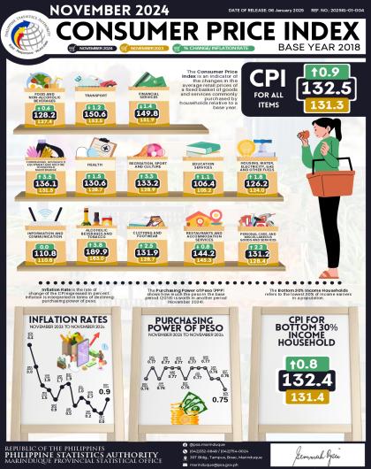 November 2024 CPI