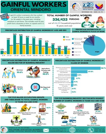 Gainful Workers Oriental Mindoro