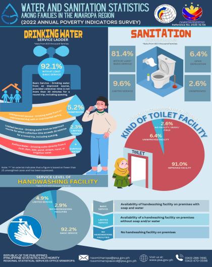 Water and Sanitation Statistics Among Families in the MIMAROPA Region (2022 APIS)
