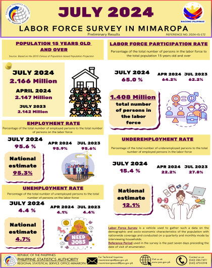 July 2024 Labor Force Survey in MIMAROPA