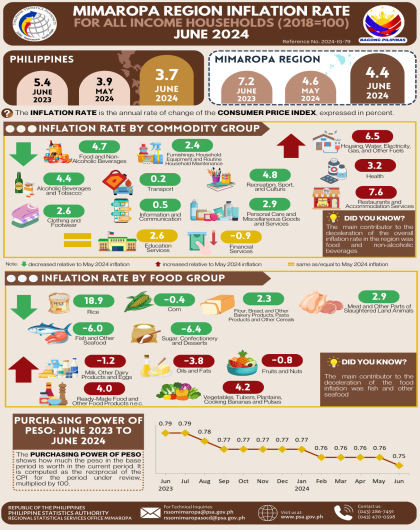 Price Statistics in MIMAROPA Region June 2024