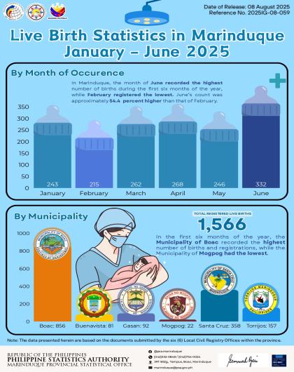 Live Birth Statistics in Marinduque: January to June 2025