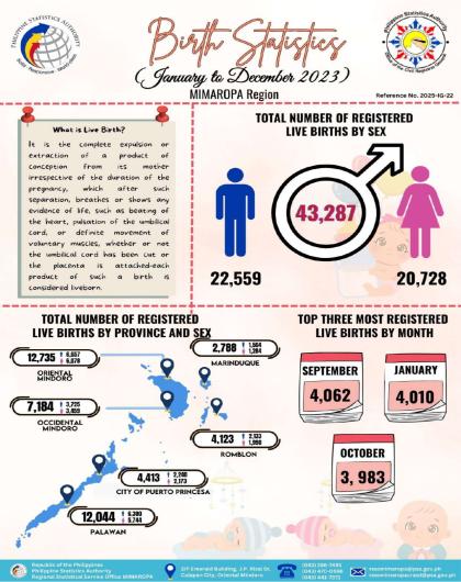 Birth Statistics in MIMAROPA Region
