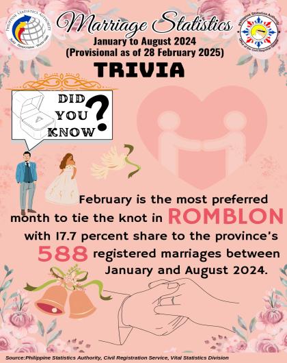 Trivia on Marriage Statistics, MIMAROPA: January to August 2024