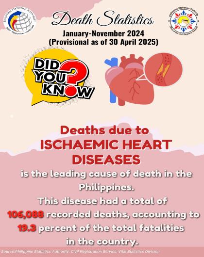 Trivia on Death Statistics, MIMAROPA: January to November 2024 (Provisional as of 30 April 2025)