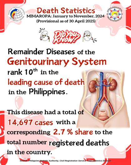 Trivia on Death Statistics, MIMAROPA: January to November 2024 (Provisional as of 30 April 2025)