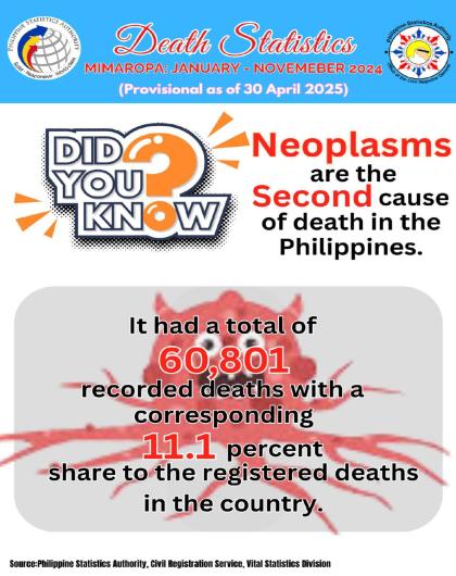 Trivia on Death Statistics, MIMAROPA: January to November 2024 (Provisional as of 30 April 2025)
