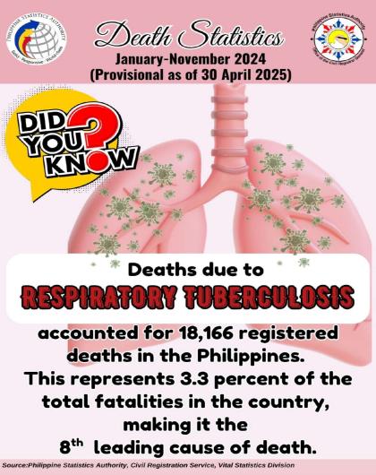 Trivia on Death Statistics, MIMAROPA: January to November 2024 (Provisional as of 30 April 2025)
