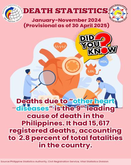 Trivia on Death Statistics, MIMAROPA: January to November 2024 (Provisional as of 30 April 2025)