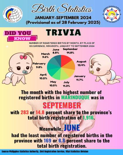 Trivia on Birth Statistics, MIMAROPA: January to September 2024