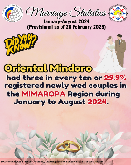 Trivia on Marriage Statistics, MIMAROPA: January to August 2024