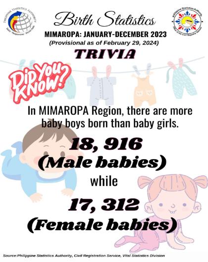 Birth Statistics MIMAROPA: January-December 2023 (Provisional as of February 29, 2024)