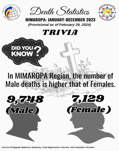 Death Statistics MIMAROPA: January-December 2023 (Provisional as of February 29, 2024)