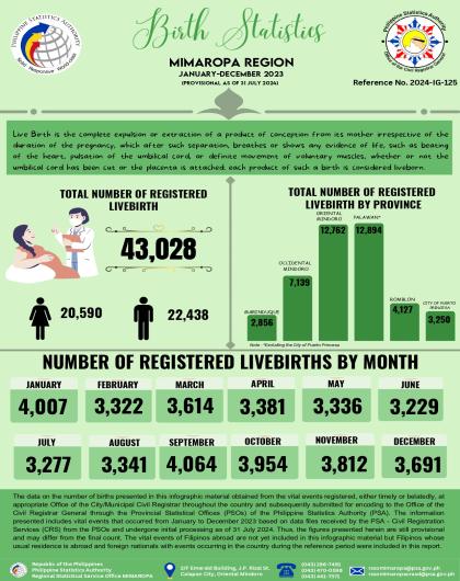 Birth Statistics MIMAROPA: January to December 2023