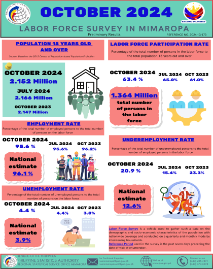 October 2024 Labor Force Survey in MIMAROPA