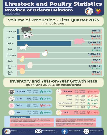 Oriental Mindoro Livestock and Poultry 1st Quarter 2025