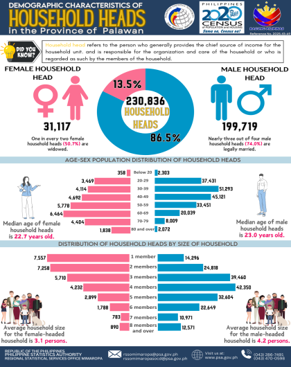 Demographic Characteristics of Household Heads in the Province of Palawan