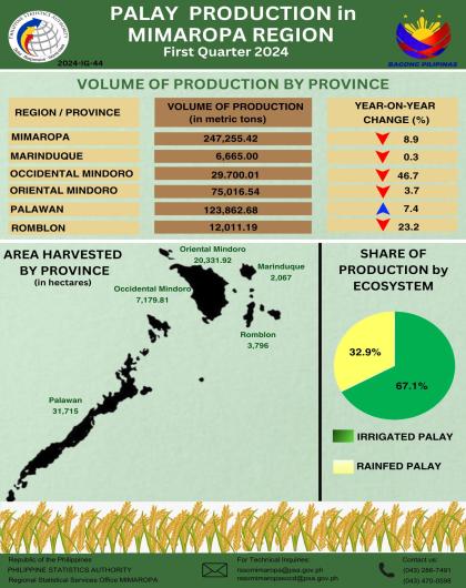 Palay Production in MIMAROPA: First Quarter 2024