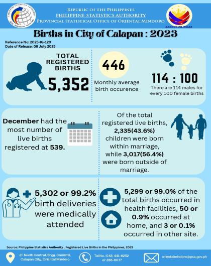 Registered Births in City of Calapan, Oriental Mindoro: 2023