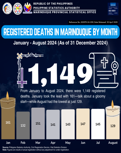 Registered Deaths in Marinduque by Month: Jan - Aug 2024 (P as of 31 Dec 2024)