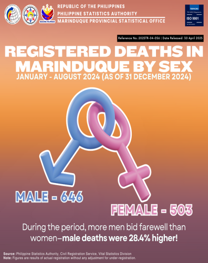 Registered Deaths in Marinduque by Sex: Jan - Aug 2024 (P as of 31 Dec 2024)