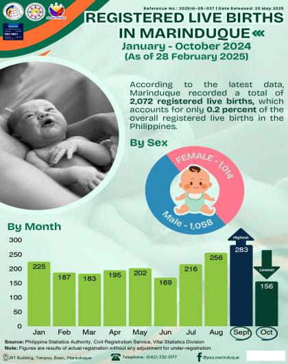 Registered Live Births in Marinduque: January to October 2024 (As of 28 February 2025)
