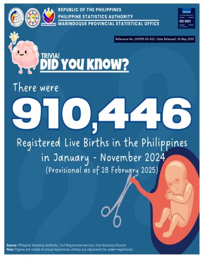 Registered Live Births in the Philippines: January - November 2024 (P as of 28 February 2025)