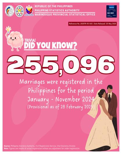 Registered Marriages in the Philippines: January - November 2024 (P as of 28 February 2025)