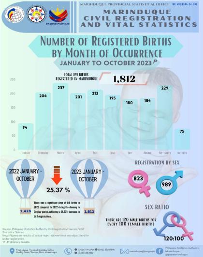 Number of Registered Births (January to October 2023)