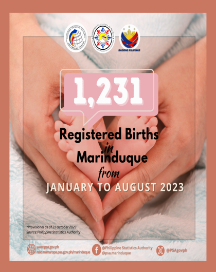 Registered Births in Marinduque (Jan-Aug 2023)