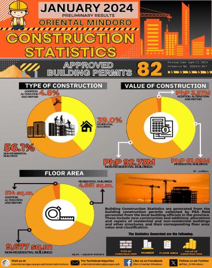 Oriental Mindoro Building Construction Statistics - January 2024 (Preliminary Results)